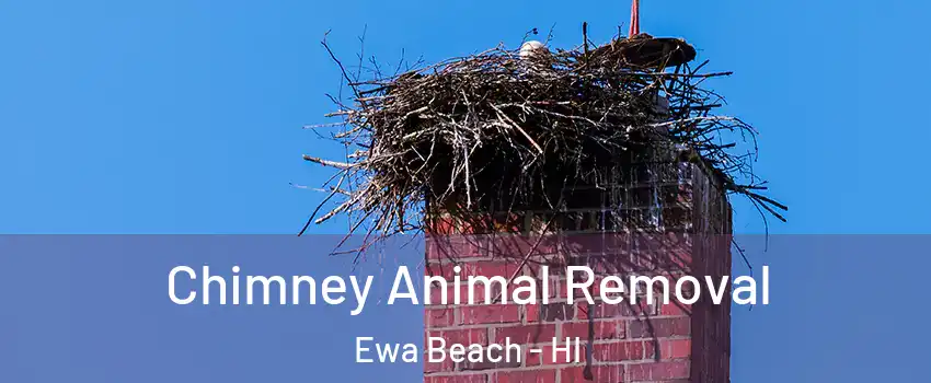  Chimney Animal Removal Ewa Beach - HI