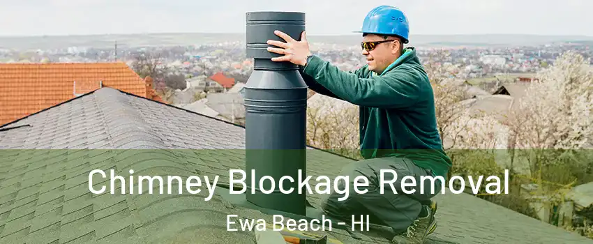 Chimney Blockage Removal Ewa Beach - HI