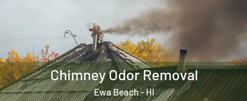  Chimney Odor Removal Ewa Beach - HI