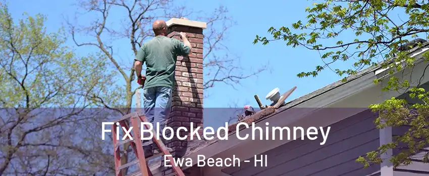  Fix Blocked Chimney Ewa Beach - HI
