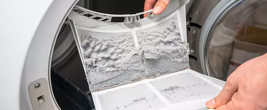 Best Dryer Lint Removal Company in Ewa Beach, Hawaii
