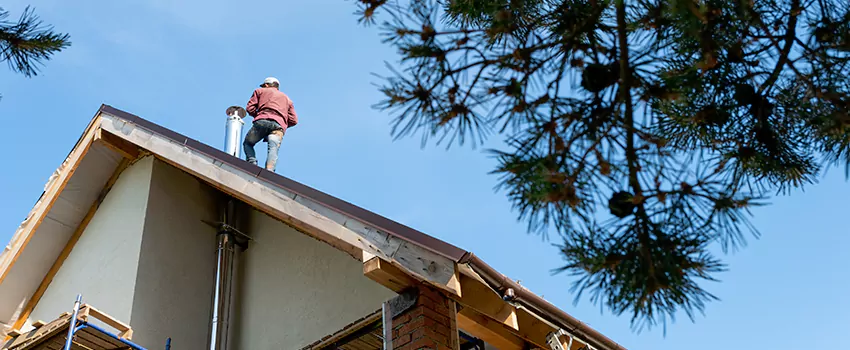 Birds Removal Contractors from Chimney in Ewa Beach, HI